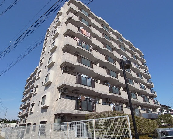 16146画像