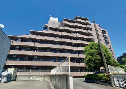 16230画像