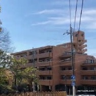 17095画像