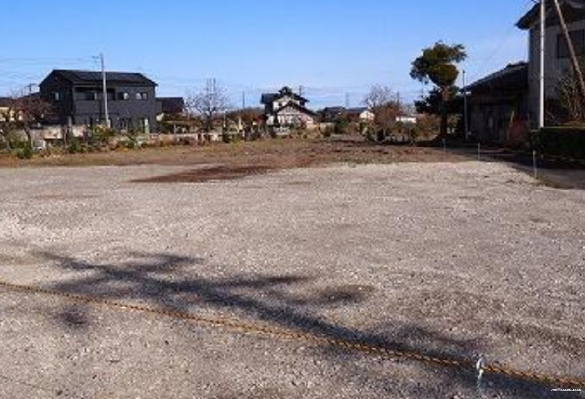 11427画像