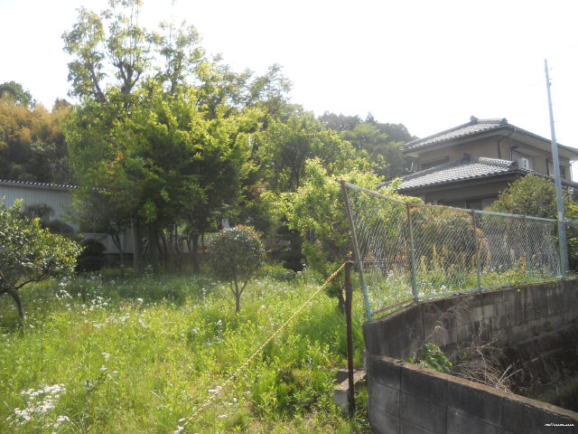 12180画像