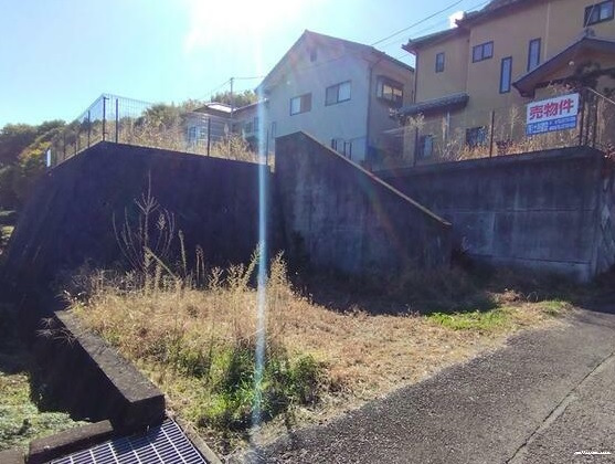 12386画像