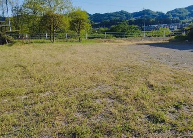 13068画像