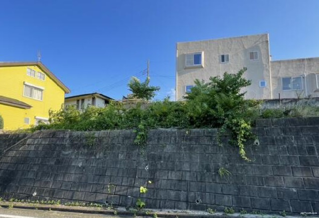 13306画像