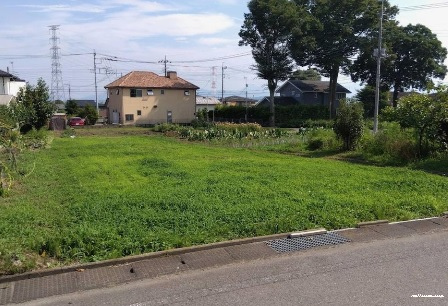14258画像