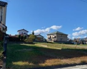 14319画像