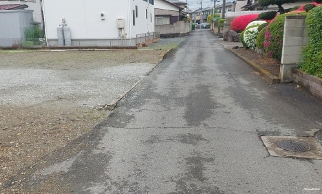 14995画像