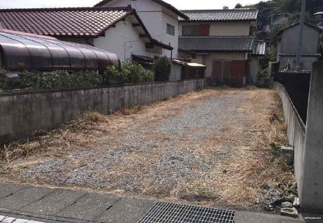 15966画像