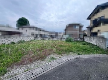 16723画像