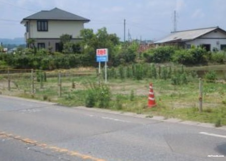 4295画像