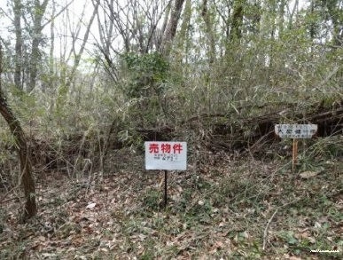 7062画像