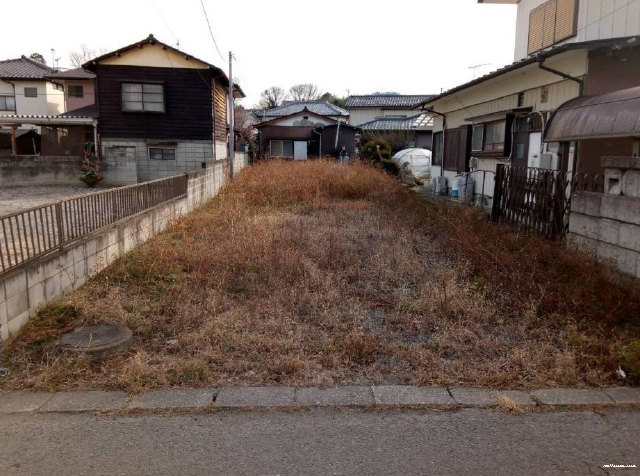 8455画像