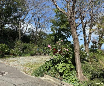 9850画像